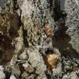 Claudia Biehne, übergroße Porzellanskulptur - фото 3