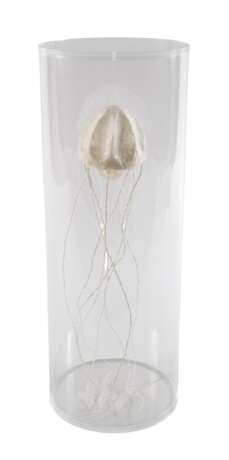 Sophie Casado, Qualle im Glassturz - photo 1 Sophie Casado, Qualle im Glassturz - photo 1