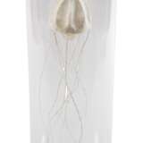 Sophie Casado, Qualle im Glassturz - photo 1