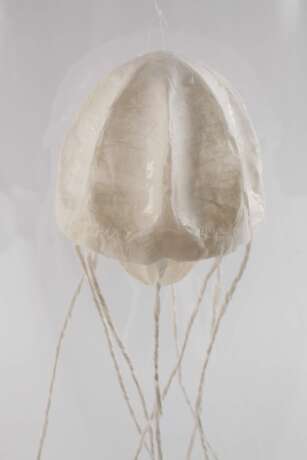 Sophie Casado, Qualle im Glassturz - photo 2 Sophie Casado, Qualle im Glassturz - photo 2