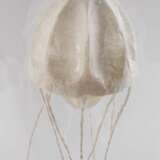 Sophie Casado, Qualle im Glassturz - photo 2