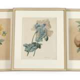 Pierre-Joseph Redouté, Konvolut Pflanzendarstellungen - фото 1