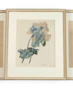 Übersicht. Pierre-Joseph Redouté, Konvolut Pflanzendarstellungen