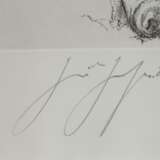 Günter Grass, "Verrutschtes Symbol" - photo 3