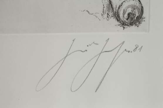 Günter Grass, "Verrutschtes Symbol" - photo 3