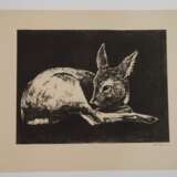 Walther Klemm, Paar Tierdarstellungen - photo 3