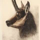 Kurt Meyer-Eberhardt, Gamskopf - photo 1