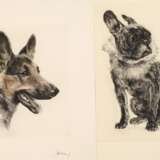 Kurt Meyer-Eberhardt, Paar Hundedarstellungen - photo 1