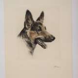 Kurt Meyer-Eberhardt, Paar Hundedarstellungen - photo 3