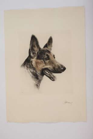 Kurt Meyer-Eberhardt, Paar Hundedarstellungen - photo 3 Kurt Meyer-Eberhardt, Paar Hundedarstellungen - photo 3