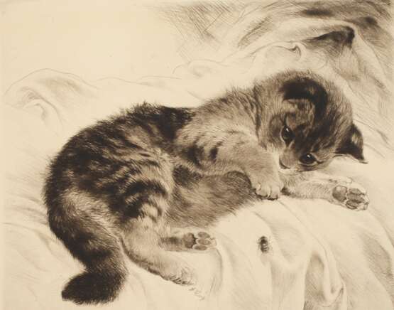 Kurt Meyer-Eberhardt, Kätzchen mit Fliege - photo 1 Kurt Meyer-Eberhardt, Kätzchen mit Fliege - photo 1