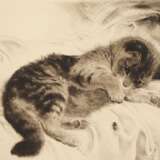 Kurt Meyer-Eberhardt, Kätzchen mit Fliege - photo 1