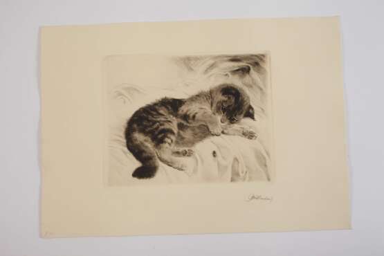 Kurt Meyer-Eberhardt, Kätzchen mit Fliege - photo 2 Kurt Meyer-Eberhardt, Kätzchen mit Fliege - photo 2