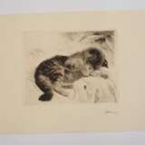 Kurt Meyer-Eberhardt, Kätzchen mit Fliege - photo 2