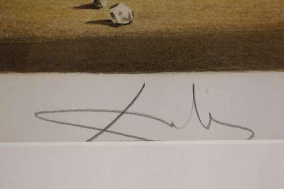 Salvador Dali, "Versuchung des heiligen Antonius" - Foto 2