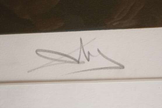 Salvador Dali, Atavistische Ruinen nach dem Regen - Foto 3