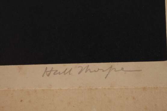 John Hall Thorpe, Kapuzinerkresse - photo 3