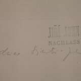 Jiří John, "Kristall-Gesteinsblüte" - photo 3