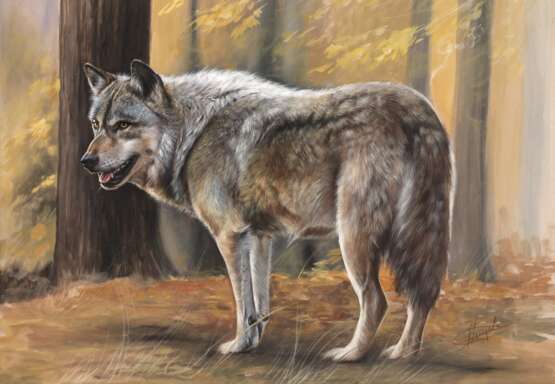 Christiane Vleugels, Spähender Wolf - photo 1