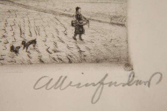 Albin Enders, Rathaus von Plauen - фото 3