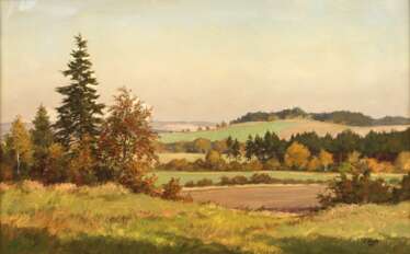 Siegfried Haufe, Vogtlandsommer 