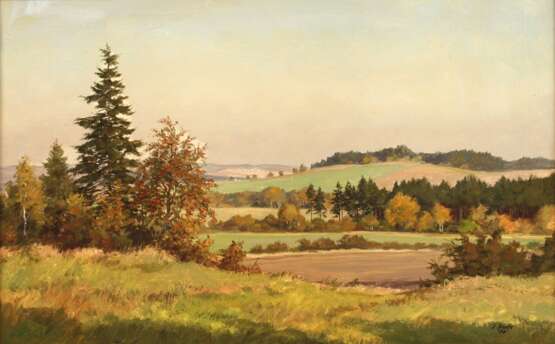 Siegfried Haufe, Vogtlandsommer - Foto 1 Siegfried Haufe, Vogtlandsommer - Foto 1