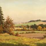 Siegfried Haufe, Vogtlandsommer - Foto 1