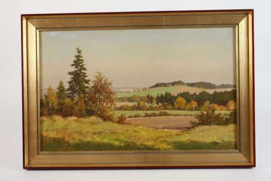 Siegfried Haufe, Vogtlandsommer - Foto 2 Siegfried Haufe, Vogtlandsommer - Foto 2