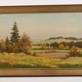 Siegfried Haufe, Vogtlandsommer - Foto 2