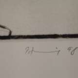 Peter Zaumseil, Sammlung Grafiken und Bücher - photo 2