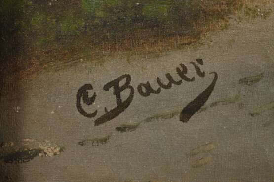 E. Bauer, Alpenlandschaft - Foto 3 E. Bauer, Alpenlandschaft - Foto 3