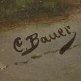 E. Bauer, Alpenlandschaft - Foto 3