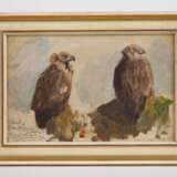 Roder, Adlerstudie aus dem Zoo in Leipzig - Foto 5