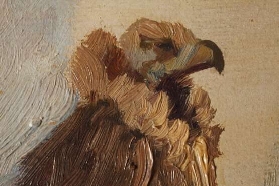 Roder, Adlerstudie aus dem Zoo in Leipzig - Foto 2 Roder, Adlerstudie aus dem Zoo in Leipzig - Foto 2