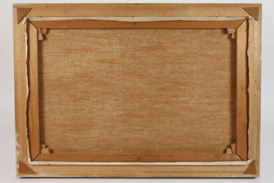 Manfred Schatz, Auffliegende Enten - Foto 6 Manfred Schatz, Auffliegende Enten - Foto 6