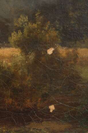 Idyllische Sommerlandschaft mit Viehhirtin - photo 5 Idyllische Sommerlandschaft mit Viehhirtin - photo 5