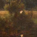 Idyllische Sommerlandschaft mit Viehhirtin - photo 5