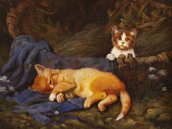 Katzenidyll - photo 1 Katzenidyll - photo 1