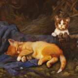 Katzenidyll - photo 1