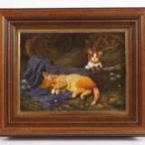 Katzenidyll - photo 2