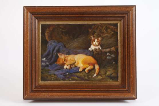 Katzenidyll - photo 2 Katzenidyll - photo 2