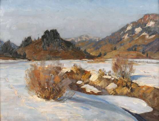 Hoyer, Vorfrühlingshafte Bachaue - Foto 1 Hoyer, Vorfrühlingshafte Bachaue - Foto 1