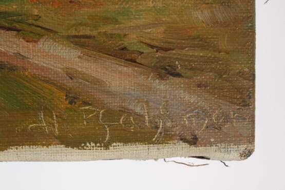 Hugo Pfahlmer, Im Dachauer Moos - photo 3