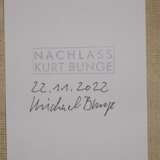 Kurt Bunge, Expressives Damenportrait - photo 5