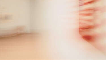 Louise Lawler. Misugoshi: Three Flags (swiped)