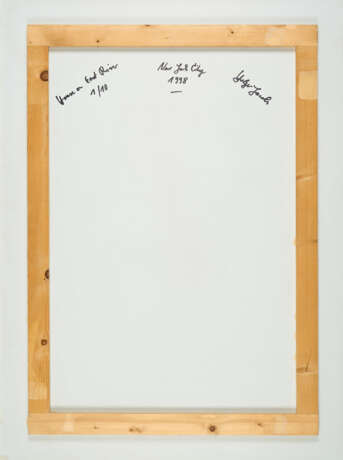 Holger Jacobs. House on East River - photo 2 Holger Jacobs. House on East River - photo 2