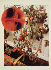 Wade Guyton. The Tomato Lovers