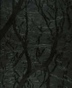 Aperçu. Sven Drühl. H.H. (Undead)