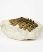 Mary Bauermeister. Mary Bauermeister. Beseelung Mary Bauermeister. Mary Bauermeister. Beseelung