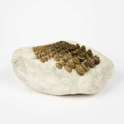 Mary Bauermeister. Beseelung